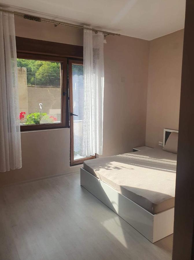 Casa Simionov Apartment Baile Herculane Luaran gambar